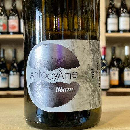 Domaine AntocyÂme - Blanc