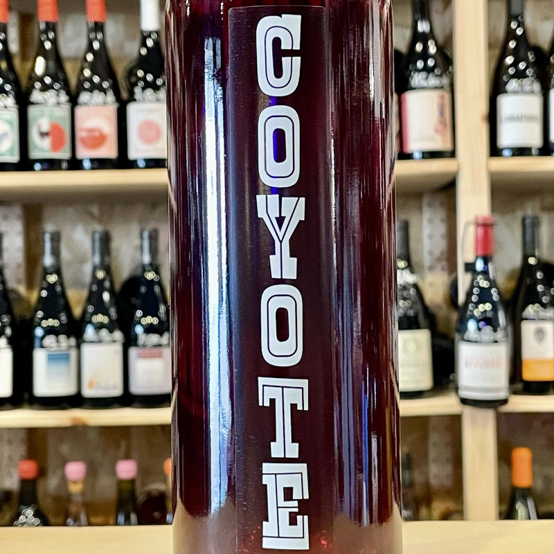 Marius Bielle - Coyote