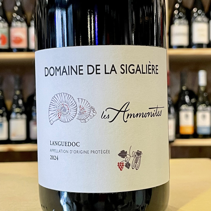 Domaine de la Sigalière - Ammonites