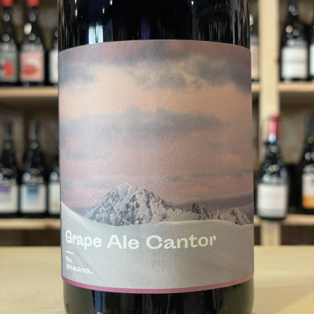 Brasserie La Cabane - Cantor Grape Ale