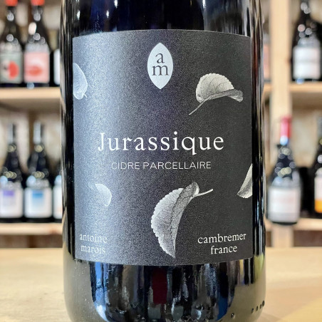 Domaine Antoine Marois - Jurassique