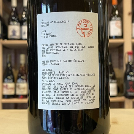 Maison Virido - 10. Spectre of Melancholia