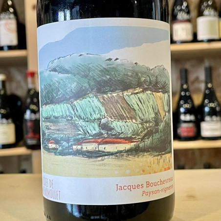 Domaine Bouchevreau - Côtes de Beaumollet