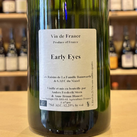 Anders Frederik Steen & Anne Bruun Blauert - Early Eyes